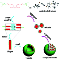 Graphical abstract: Micelle and vesicle formation from supramolecular complexes based on proton-transfer hydrogen bonding