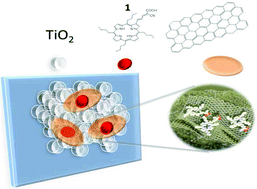 Graphical abstract: Novel nanographene/porphyrin hybrids – preparation, characterization, and application in solar energy conversion schemes
