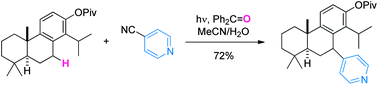 Graphical abstract: Photoinduced direct 4-pyridination of C(sp3)–H Bonds