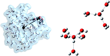 Graphical abstract: Thermodynamics of hydronium and hydroxide surface solvation