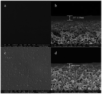 Graphical abstract: Fabrication of high-performance facilitated transport membranes for CO2 separation