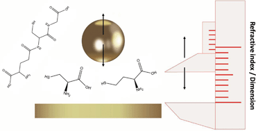 Graphical abstract: Plasmonic nanoparticle-film calipers for rapid and ultrasensitive dimensional and refractometric detection