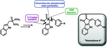 Graphical abstract: Total synthesis of the cyanobacterial metabolite nostodione A: discovery of its antiparasitic activity against Toxoplasma gondii