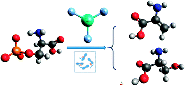 Graphical abstract: GdF3 as a promising phosphopeptide affinity probe and dephospho-labelling medium: experiments and theoretical explanation