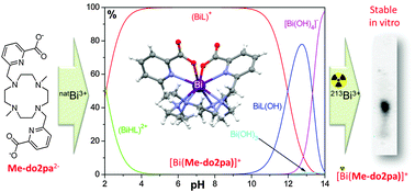 Graphical abstract: H2Me-do2pa: an attractive chelator with fast, stable and inert natBi3+ and 213Bi3+ complexation for potential α-radioimmunotherapy applications