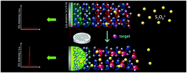 Graphical abstract: Signal-on electrochemiluminescent aptasensors based on target controlled permeable films