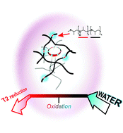 Graphical abstract: Binary behaviour of an oxidation-responsive MRI nano contrast agent