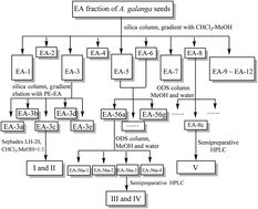 Graphical abstract: Isolation and identification of ingredients inducing cancer cell death from the seeds of Alpinia galanga, a Chinese spice