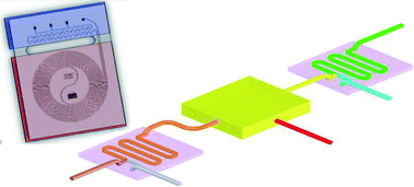 Graphical abstract: Tools for chemical synthesis in microsystems