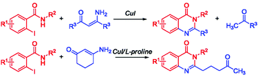 Graphical abstract: Syntheses of quinazolinones from 2-iodobenzamides and enaminones via copper-catalyzed domino reactions