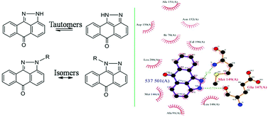 Graphical abstract: Alkyl chain substituted 1,9-pyrazoloanthrones exhibit prominent inhibitory effect on c-Jun N-terminal kinase (JNK)