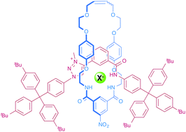 Graphical abstract: Halide selective anion recognition by an amide-triazolium axle containing [2]rotaxane