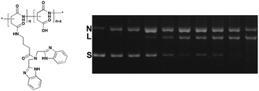 Graphical abstract: An IDB-containing low molecular weight short peptide as an efficient DNA cleavage reagent
