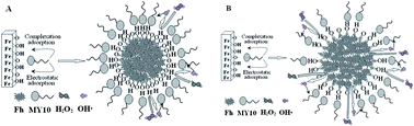 Graphical abstract: New insight into the effect of the formation environment of ferrihydrite on its structure and properties