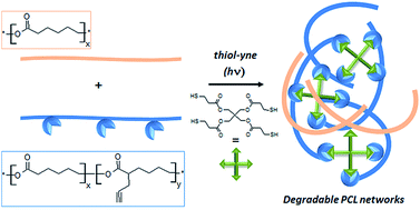 Graphical abstract: Biodegradable networks for soft tissue engineering by thiol–yne photo cross-linking of multifunctional polyesters