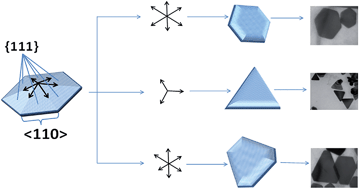 Graphical abstract: Single step synthesis of pluronic stabilized IR responsive gold nanoplates