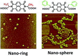 Graphical abstract: Steric effect on the self-assembly behaviours of amino acid derivatives