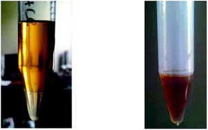 Graphical abstract: Extraction of iridium(iv) from aqueous solutions using hydrophilic/hydrophobic ionic liquids