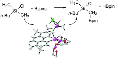 Graphical abstract: Mechanism, reactivity, and selectivity of the iridium-catalyzed C(sp3)–H borylation of chlorosilanes