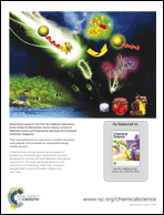 Graphical abstract: Back cover