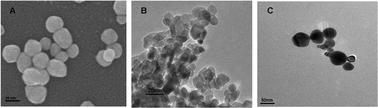 Graphical abstract: Toxic effect comparison of three typical sterilization nanoparticles on oxidative stress and immune inflammation response in rats