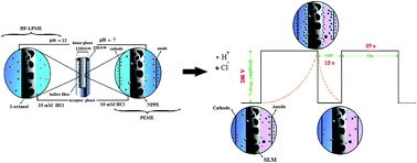 Graphical abstract: Simultaneous extraction and determination of trace amounts of olanzapine and fluoxetine from biological fluids: comparison of conventional hollow fiber supported liquid phase microextraction and pulsed electrically assisted liquid-phase microextraction techniques