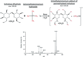 Graphical abstract: Analysis of carbohydrates in Fusarium verticillioides using size-exclusion HPLC – DRI and direct analysis in real time ionization – time-of-flight – mass spectrometry (DART-MS)