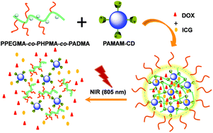 Graphical abstract: Near-infrared light-triggered drug release nanogels for combined photothermal-chemotherapy of cancer