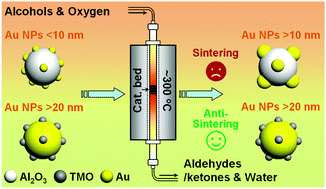 Graphical abstract: Tailoring nano-catalysts: turning gold nanoparticles on bulk metal oxides to inverse nano-metal oxides on large gold particles