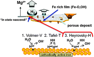 Graphical abstract: The effect of iron re-deposition on the corrosion of impurity-containing magnesium