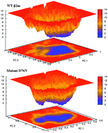 Graphical abstract: A systematic molecular dynamics approach to the structural characterization of amyloid aggregation propensity of β2-microglobulin mutant D76N