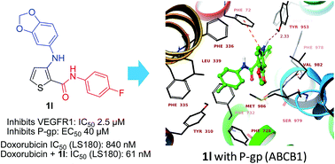 Graphical abstract: 3-(Benzo[d][1,3]dioxol-5-ylamino)-N-(4-fluorophenyl)thiophene-2-carboxamide overcomes cancer chemoresistance via inhibition of angiogenesis and P-glycoprotein efflux pump activity
