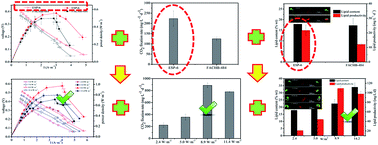 Graphical abstract: Effect of algal species and light intensity on the performance of an air-lift-type microbial carbon capture cell with an algae-assisted cathode