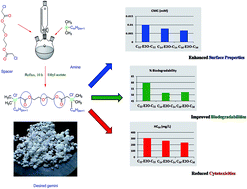 Graphical abstract: Bio-physicochemical analysis of ethylene oxide-linked diester-functionalized green cationic gemini surfactants