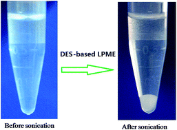 Graphical abstract: Deep eutectic solvent-based liquid-phase microextraction for detection of plant growth regulators in edible vegetable oils