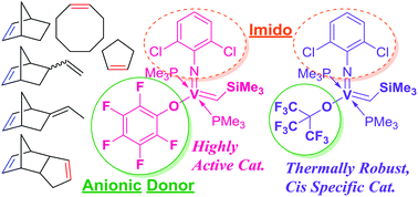 Graphical abstract: Synthesis of vanadium–alkylidene complexes and their use as catalysts for ring opening metathesis polymerization