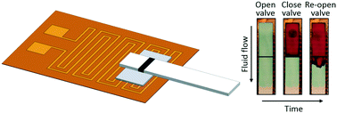 Graphical abstract: Thermally actuated wax valves for paper-fluidic diagnostics