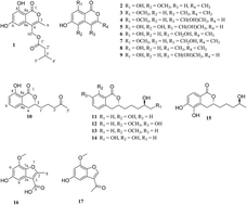 Graphical abstract: Isocoumarins and benzofurans from the mangrove endophytic fungus Talaromyces amestolkiae possess α-glucosidase inhibitory and antibacterial activities