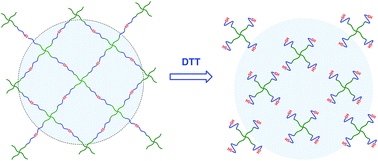 Graphical abstract: Disulfide bonds-containing amphiphilic conetworks with tunable reductive-cleavage