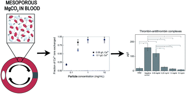 Graphical abstract: Study of mesoporous magnesium carbonate in contact with whole human blood