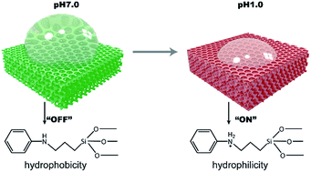 Graphical abstract: pH-Responsive nano sensing valve with self-monitoring state property based on hydrophobicity switching