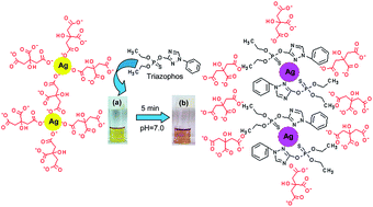 Graphical abstract: Enhancement of plasmonic resonance through an exchange reaction on the surface of silver nanoparticles: application to the highly selective detection of triazophos pesticide in food and vegetable samples