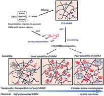 Graphical abstract: Improved understanding on the reinforcement of low-temperature hydrogenated nitrile butadiene rubber composites by in situ polymerization of unsaturated metal methacrylate: influences of salt cation
