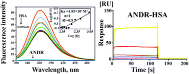 Graphical abstract: Elucidating the binding interaction of andrographolide with the plasma proteins: biophysical and computational approach