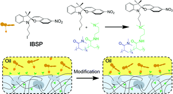 Graphical abstract: Covalent tethering of photo-responsive superficial layers on hydrogel surfaces for photo-controlled release