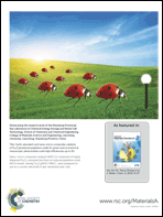 Graphical abstract: Back cover