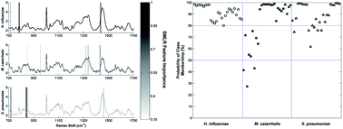 Graphical abstract: Characterization of bacteria causing acute otitis media using Raman microspectroscopy