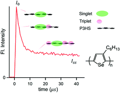 Graphical abstract: Effect of a heavy heteroatom on triplet formation and interactions in single conjugated polymer molecules and aggregates