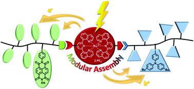 Graphical abstract: A multidonor–photosensitizer–multiacceptor triad for long-lived directional charge separation