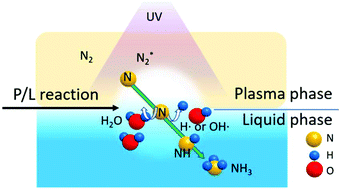 Graphical abstract: Excitation of H2O at the plasma/water interface by UV irradiation for the elevation of ammonia production